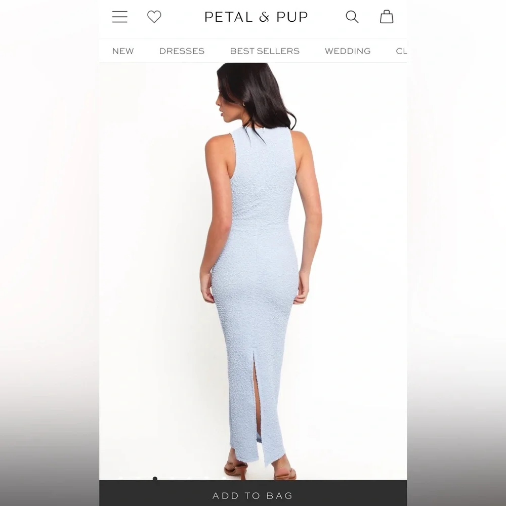 Petal & Pup Light Blue Maxi Dress - Picture 2 of 8
